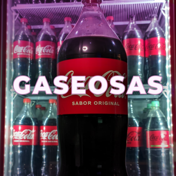GASEOSAS