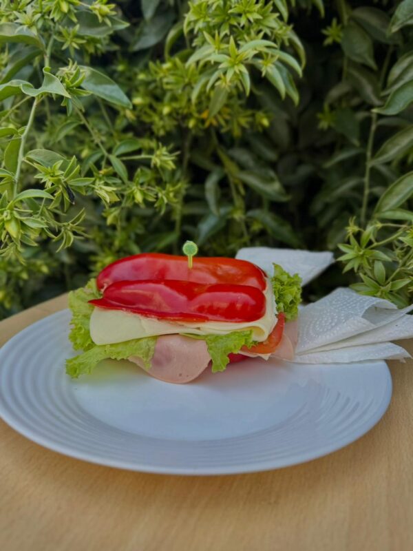 SANGUCHITO VIRAL DE MORRON JAMON QUESO PASTA DE JAMON AHUMADO O SALMON LECHUGA Y TOMATE