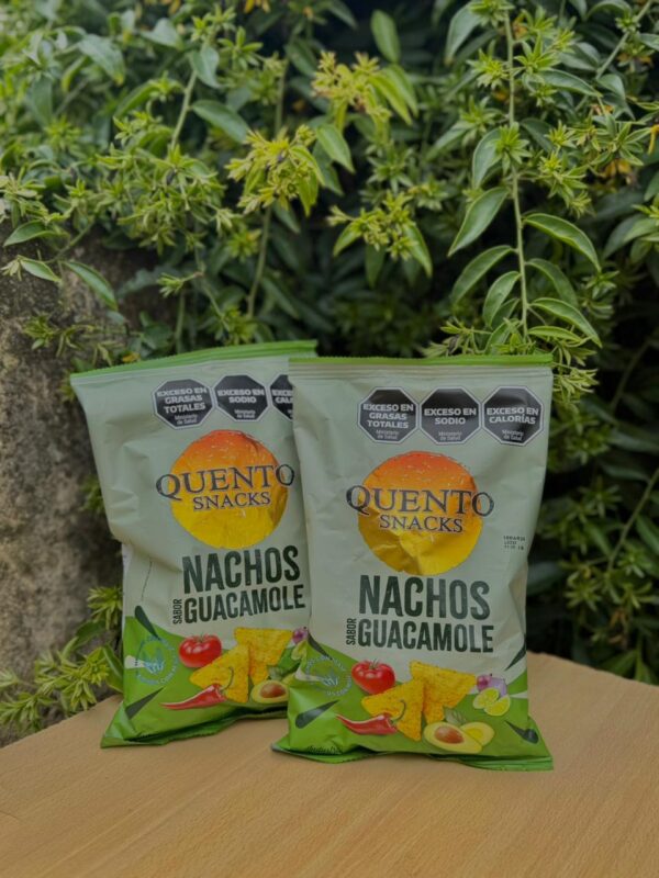 NACHOS GUACAMOLE QUENTO