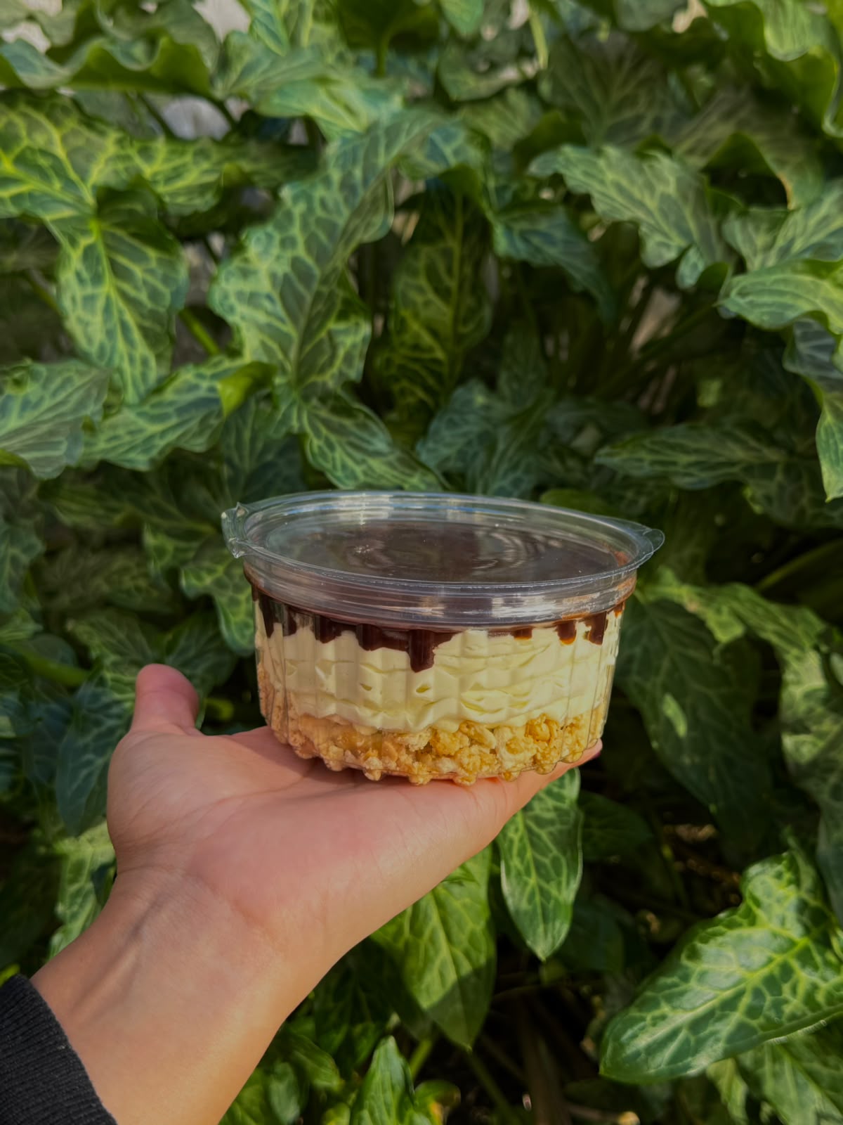 POSTRE DE PISTACHO