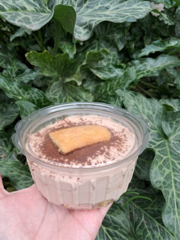 Alternative view of POSTRE TIRAMISU