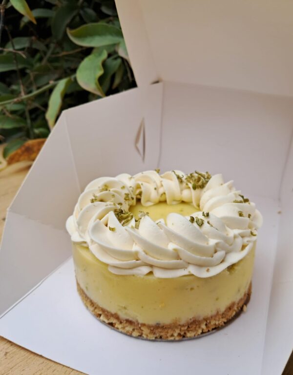 ,PETIT CAKE LIME ( HIGH END )